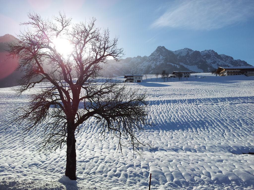 Chalet Glockenhof Walchsee Exteriör bild