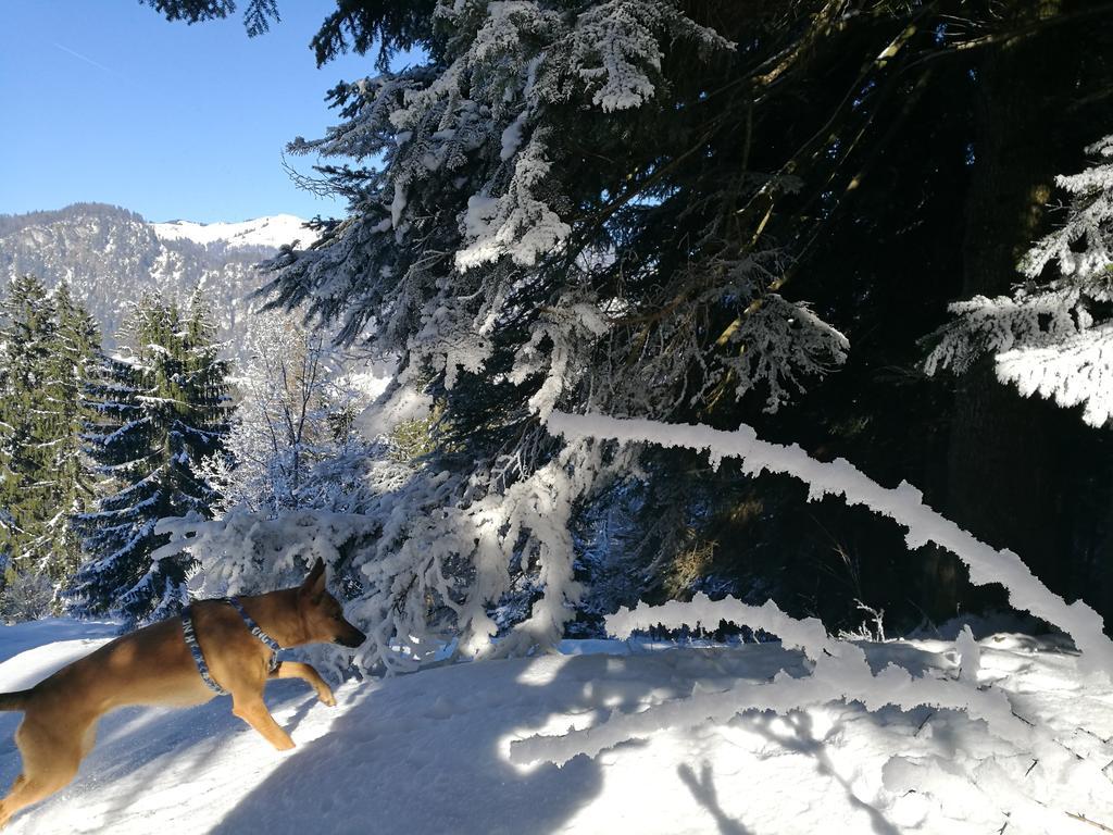 Chalet Glockenhof Walchsee Exteriör bild